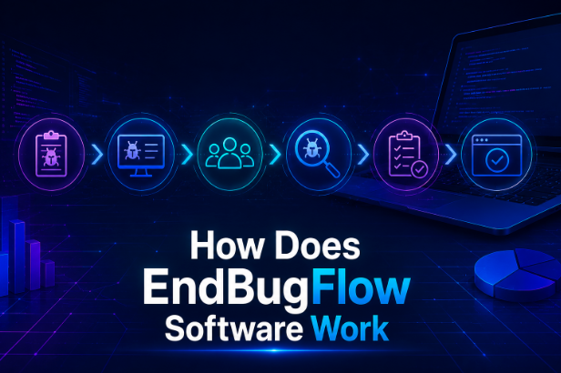 How Does EndBugFlow Software Work