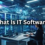 What is IT Software?